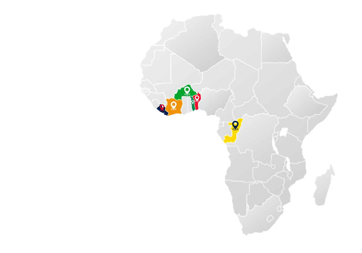 Présence de Ray Plus Group : Liberia, Côte d'Ivoire, Burkina Faso, Bénin, Togo et Congo Brazzaville