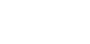 Ray Plus Group